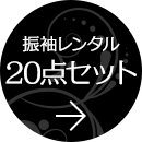 振袖レンタル20点セット